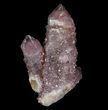 Cactus Quartz (Amethyst) Crystal Cluster - South Africa #64242-1
